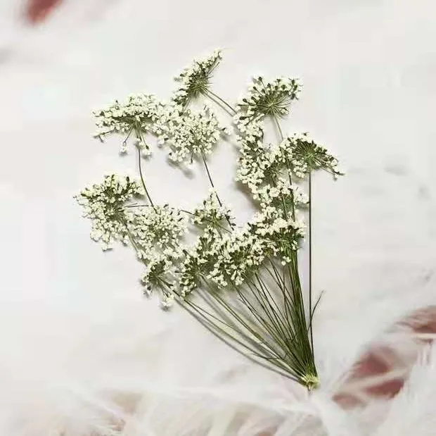 5-7cm/12pcs,Snow Tiny Flowers  - Craft Embellishment ulasan dan harga